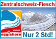 Ausflugstipp Goms - Fiesch - Eggishorn